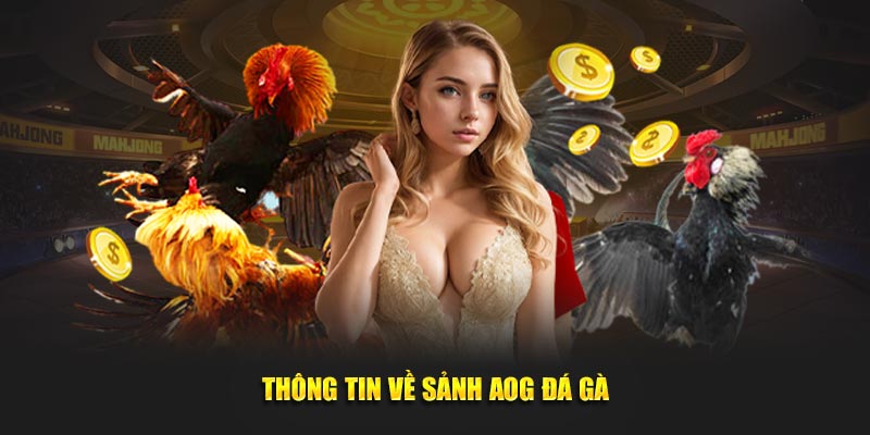 Thông tin về sảnh AOG đá gà